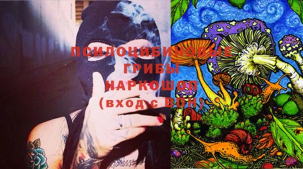 Альфа ПВП Володарск