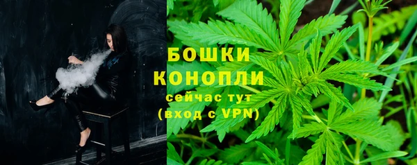 крисы Арсеньев