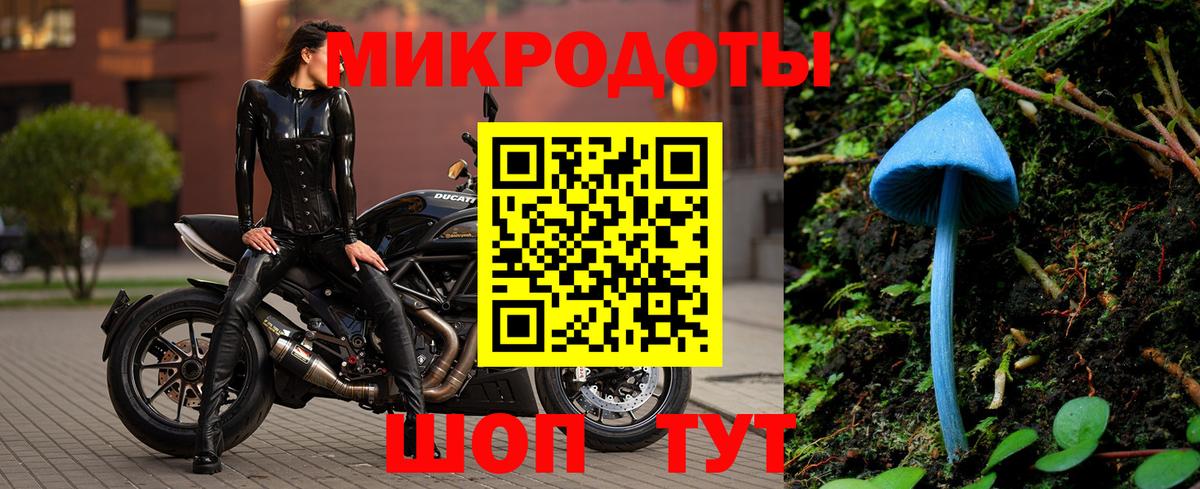 Сибай  Галлюциногенные грибы GOLDEN TEACHER  купить наркоту  Вход с VPN  Псилоцибиновые грибы GOLDEN TEACHER 